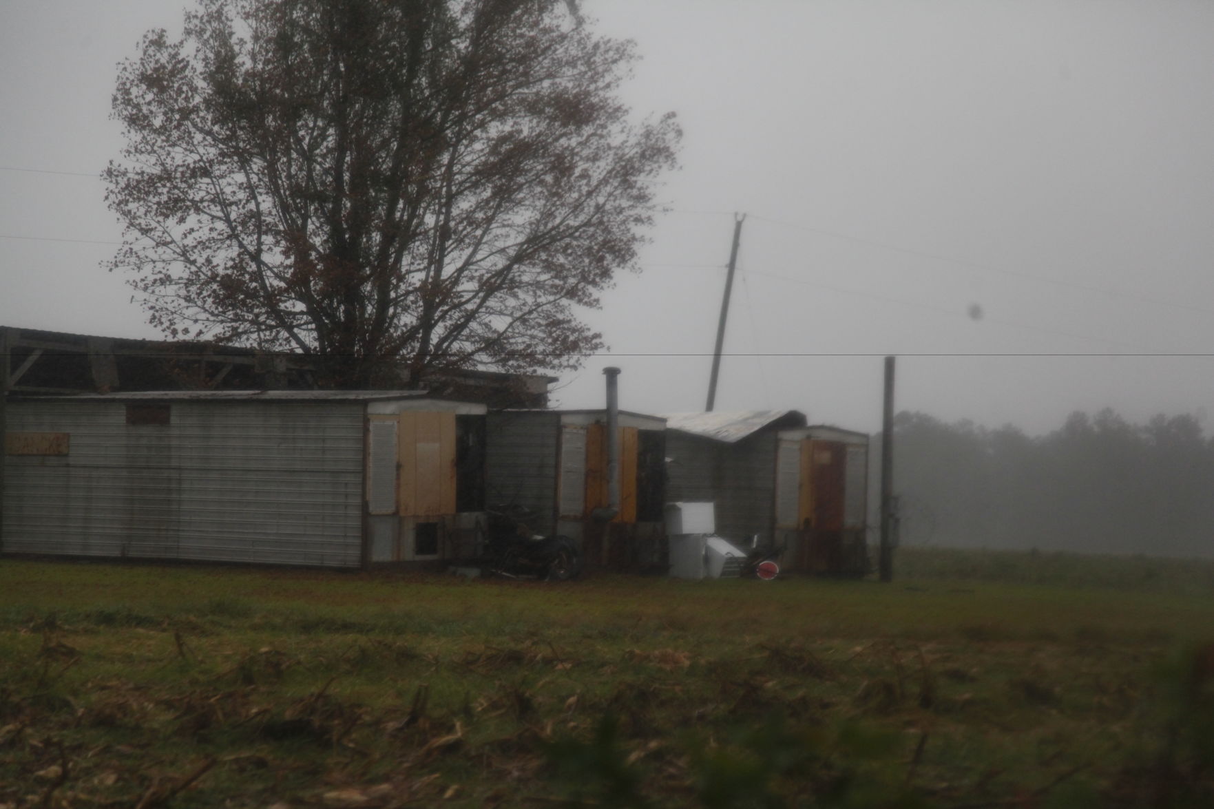 Hurricane Dorian in the Pee Dee
